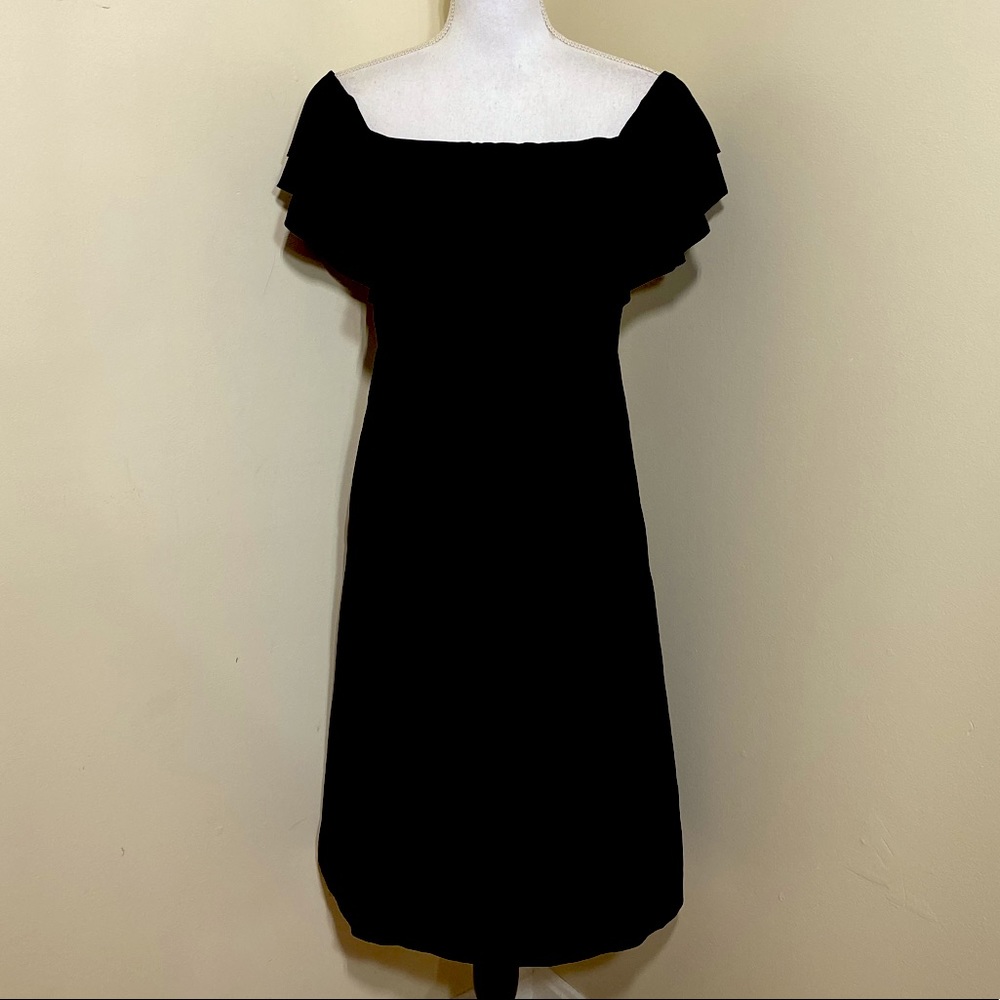 Banana Republic Ruffles Dress with side pockets size 6